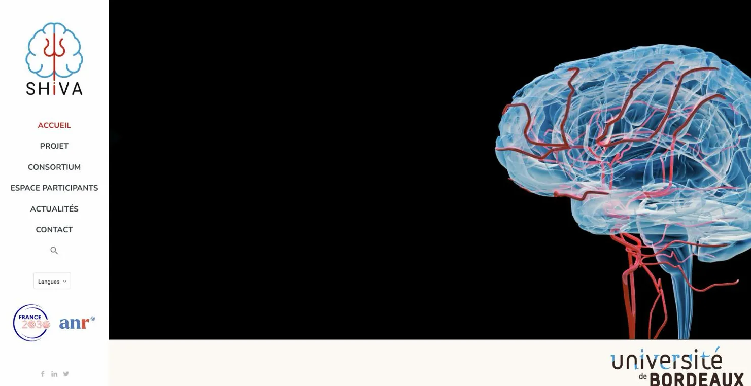 Page d’accueil du site SHIVA, logo en cerveau et visuel d’artères cérébrales